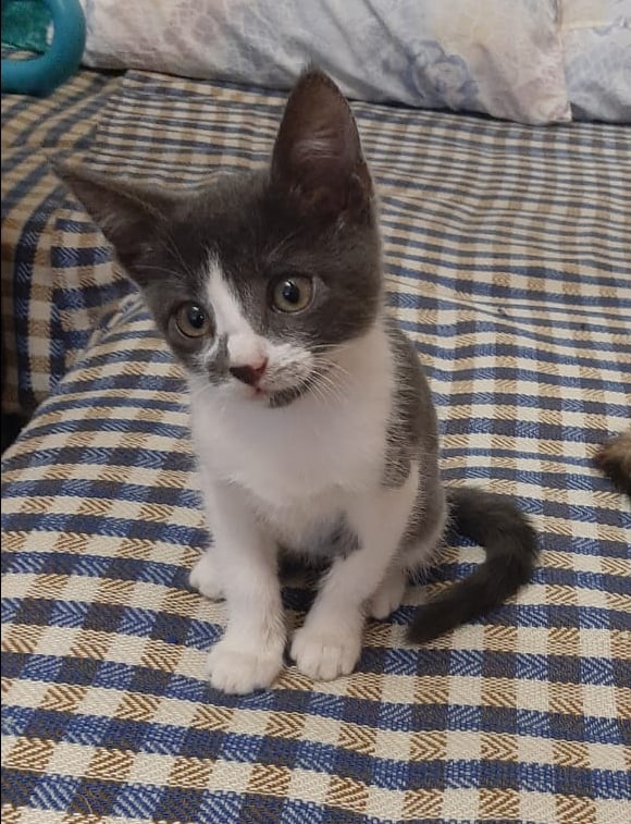 Росточком я мал, зато шкода большой