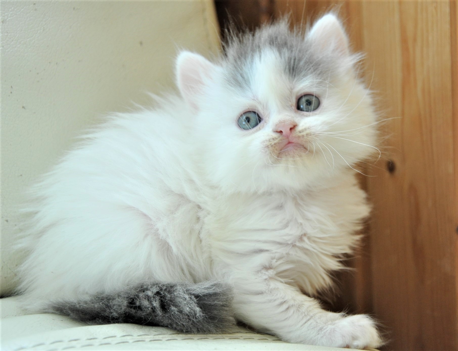 Не подсматривайте, дайте я спрячусь