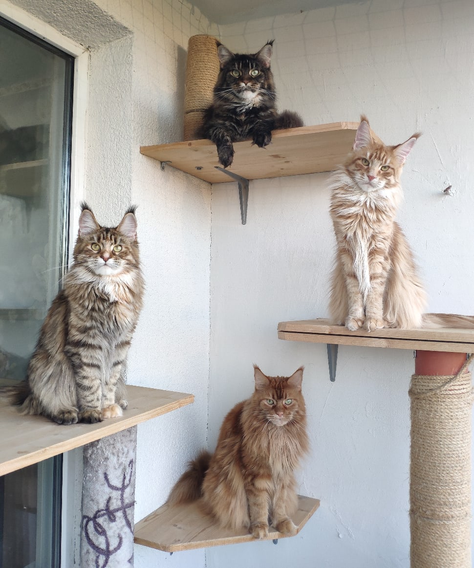 Посиделки на балконе