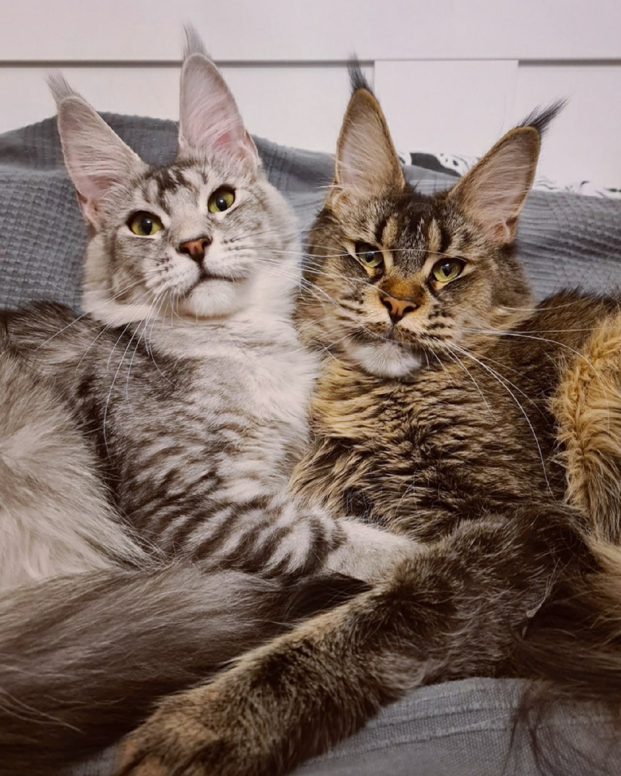 Милый улыбнись, нас снимают