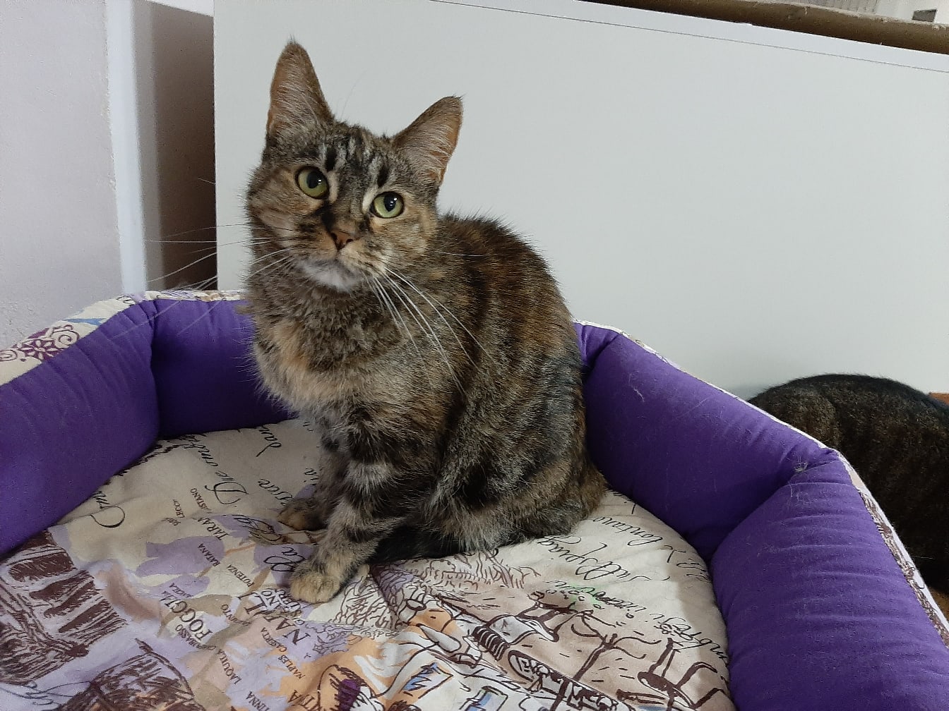 Зачем меня так рано разбудили, мне такой классный сон снился