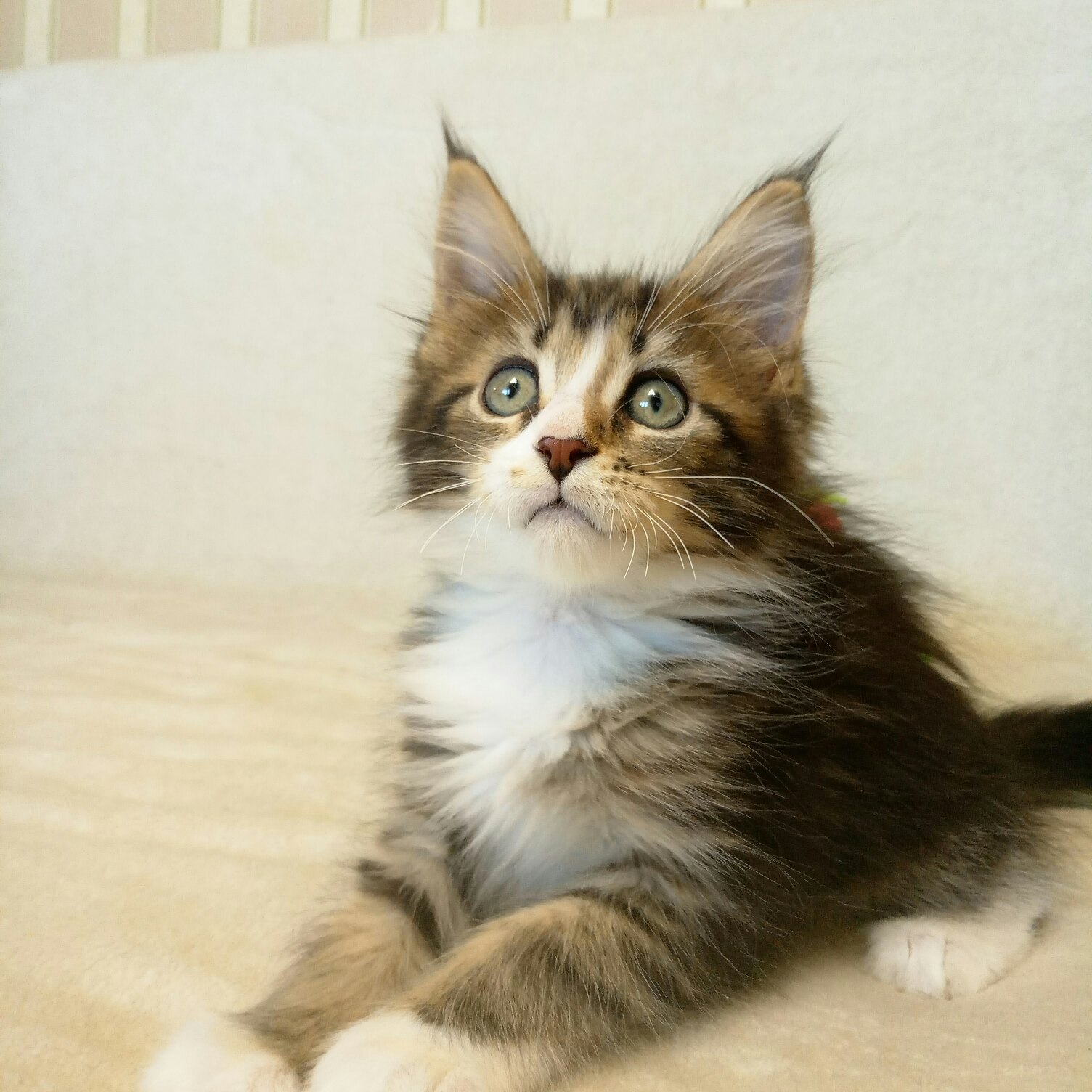 Я наигрался, дайте отдохнуть