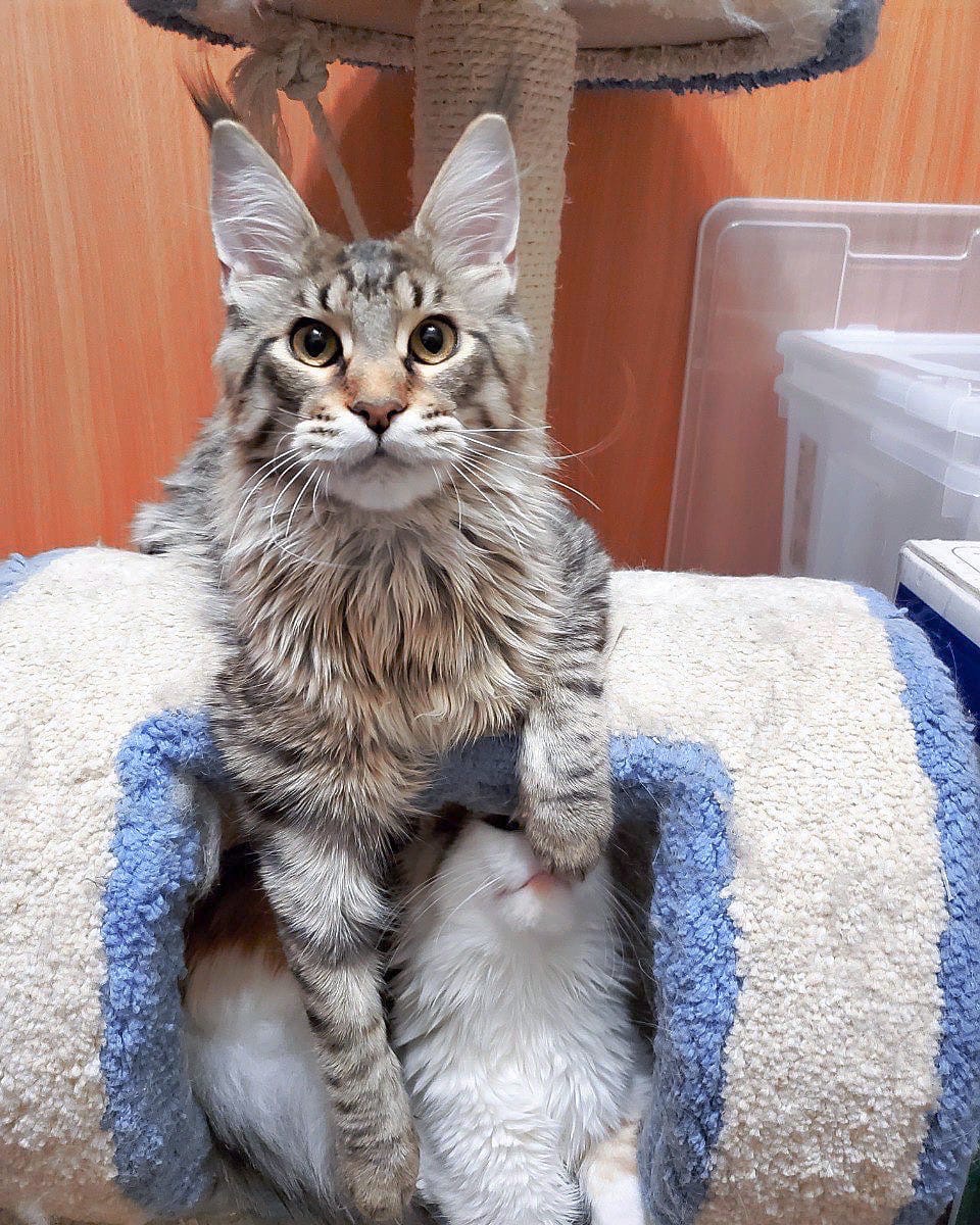 Моя девушка под надёжной защитой