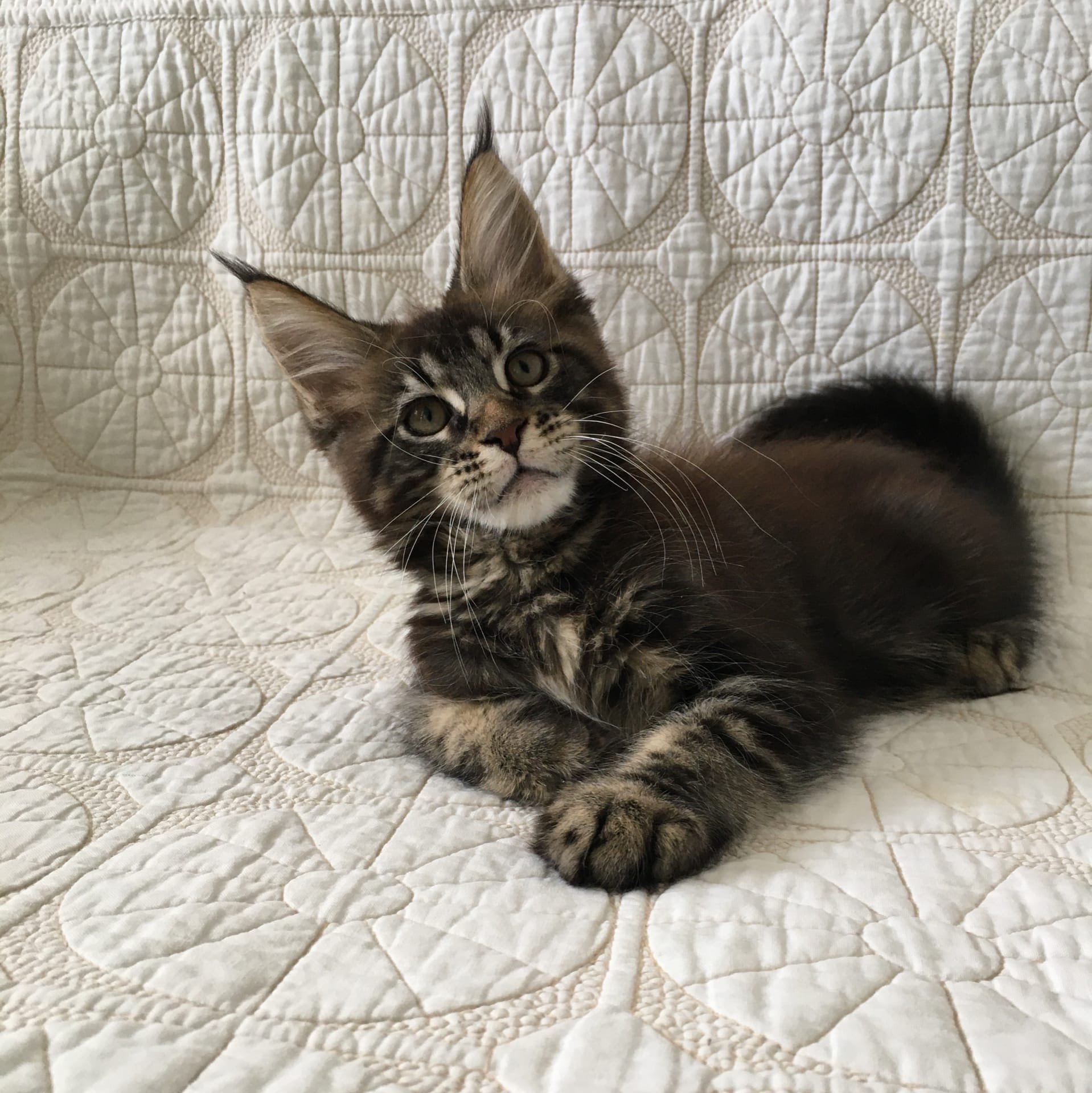 Что у Вас там за секретики от меня