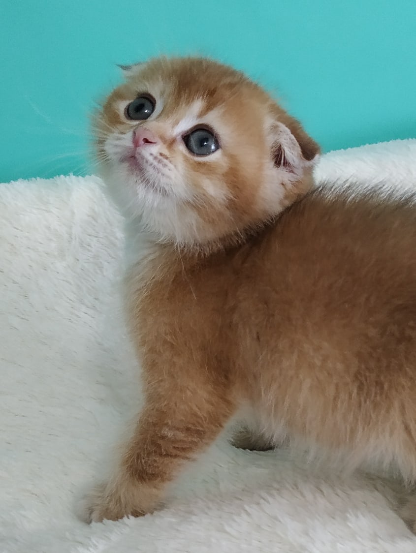 Не говорите мне что делать, я сама знаю