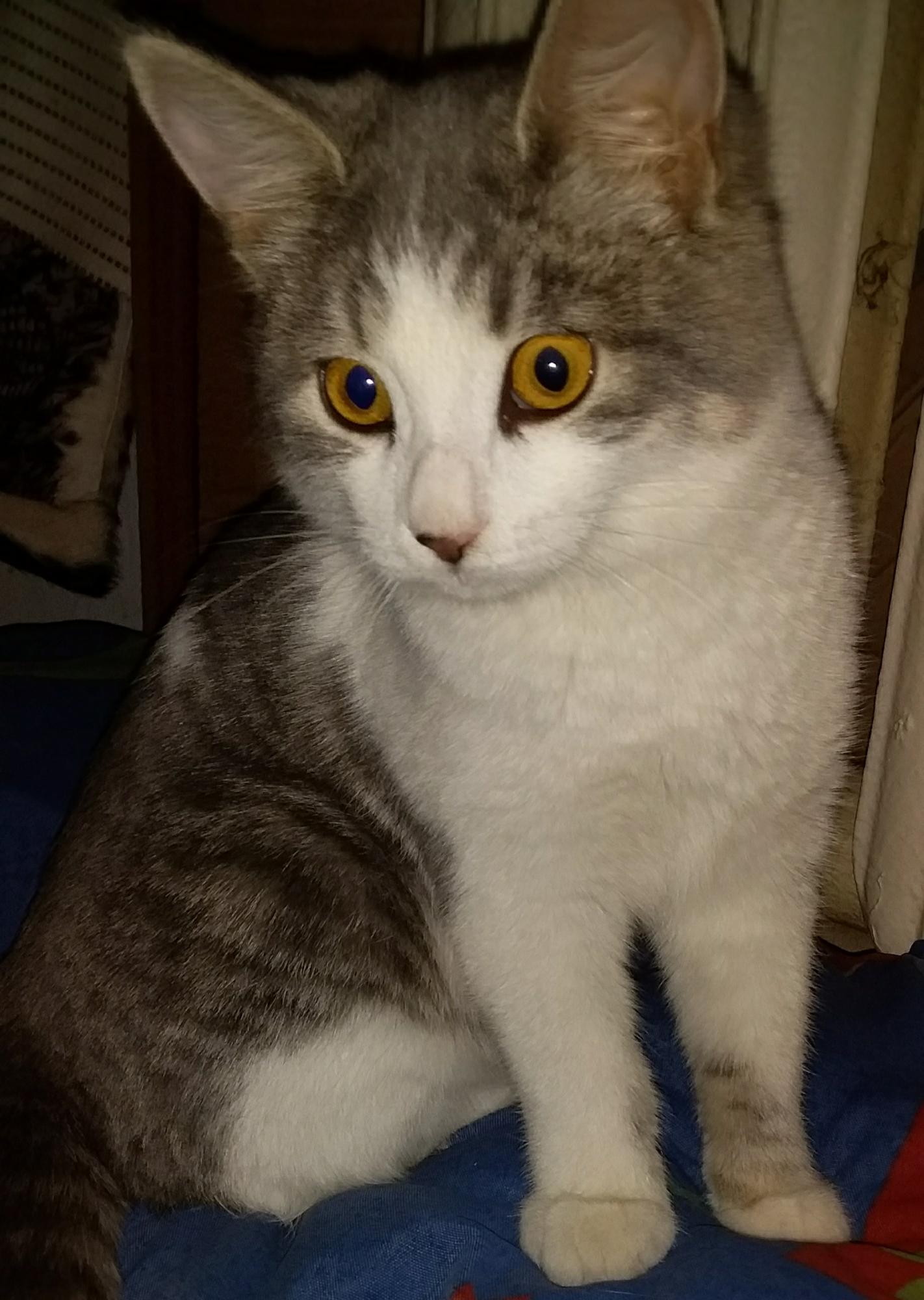 Вы что то потеряли, могу помочь найти