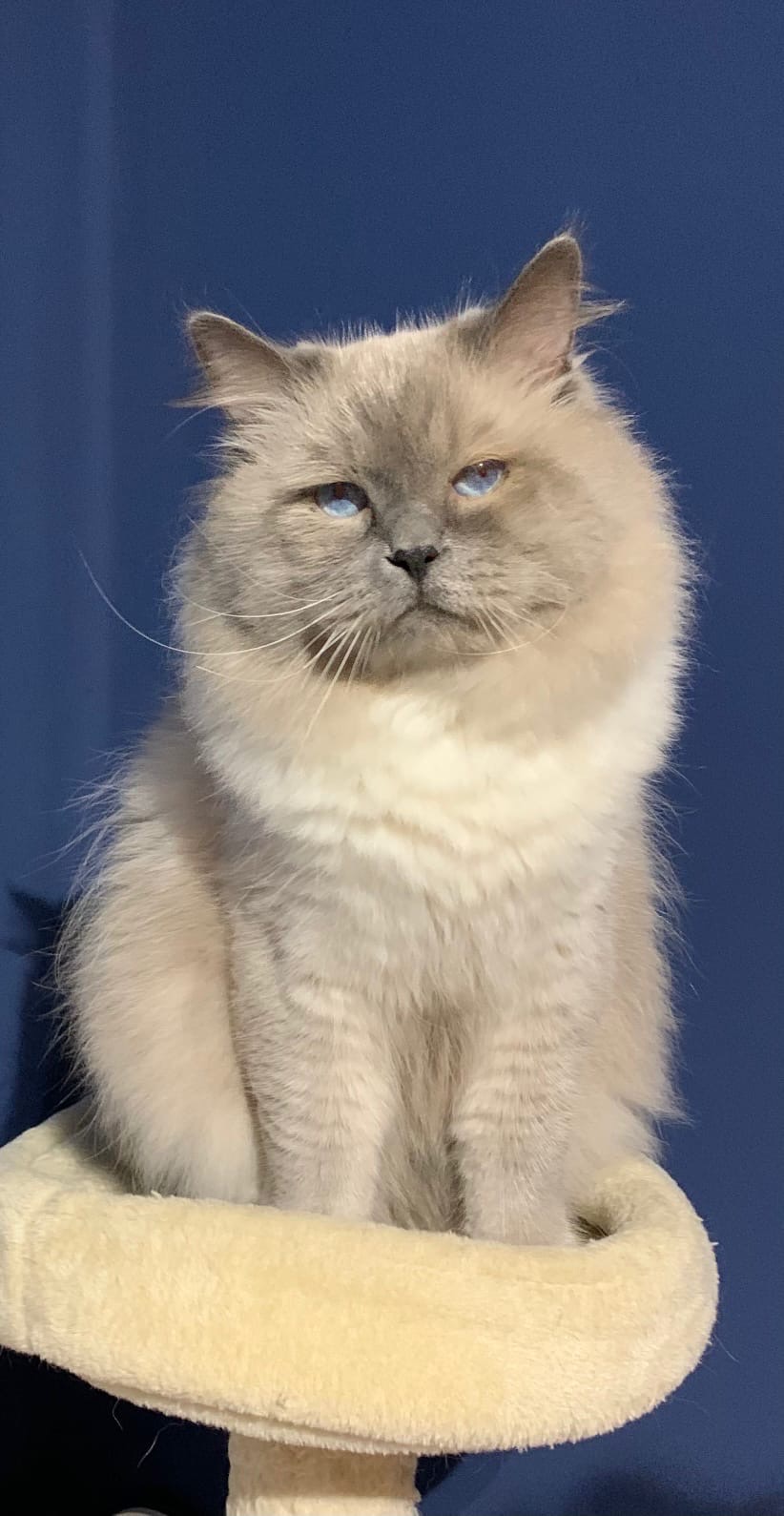 Серьёзный мужчина в полном расцвете сил