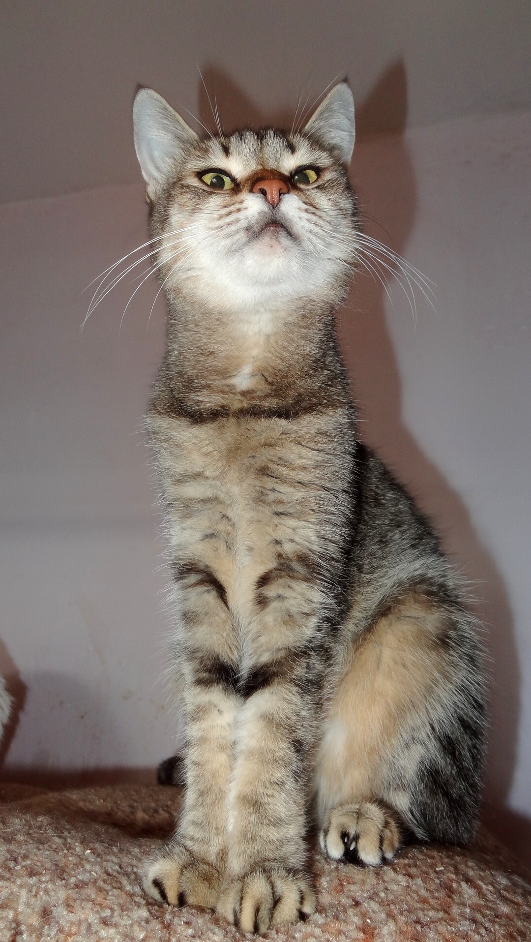 Я самая обаятельная и привлекательная