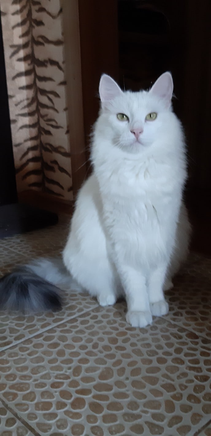 На работе не задерживайтесь, я буду Вас ждать