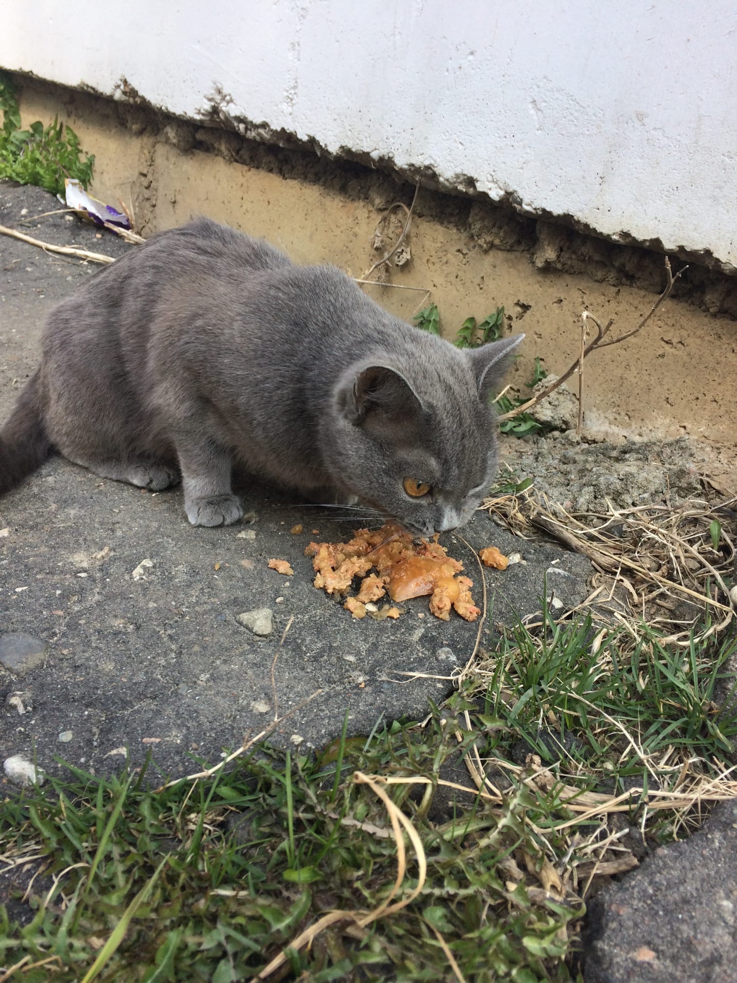 Ох как вкусненько, принесите мне ещё что нибудь