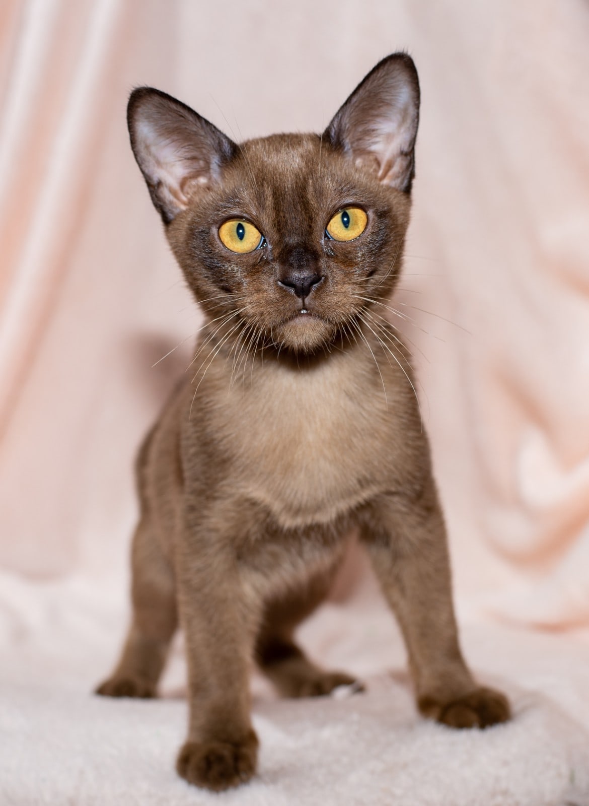 Я за любой кипиш, кроме голодовки