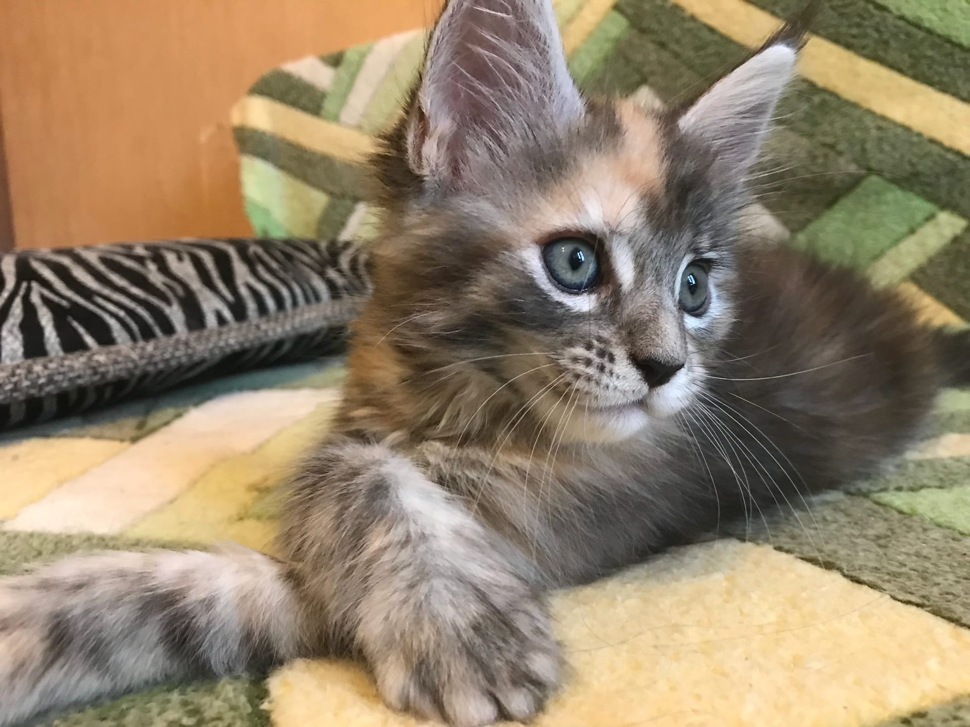 Ну вот, никто со мной играть не хочет