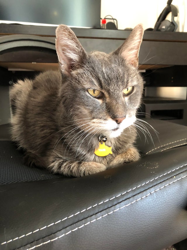 Вы когда на работу уйдёте, я хоть высплюсь