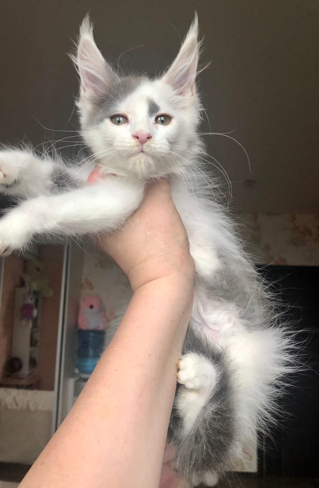 Высоко не поднимайте, а то я боюсь