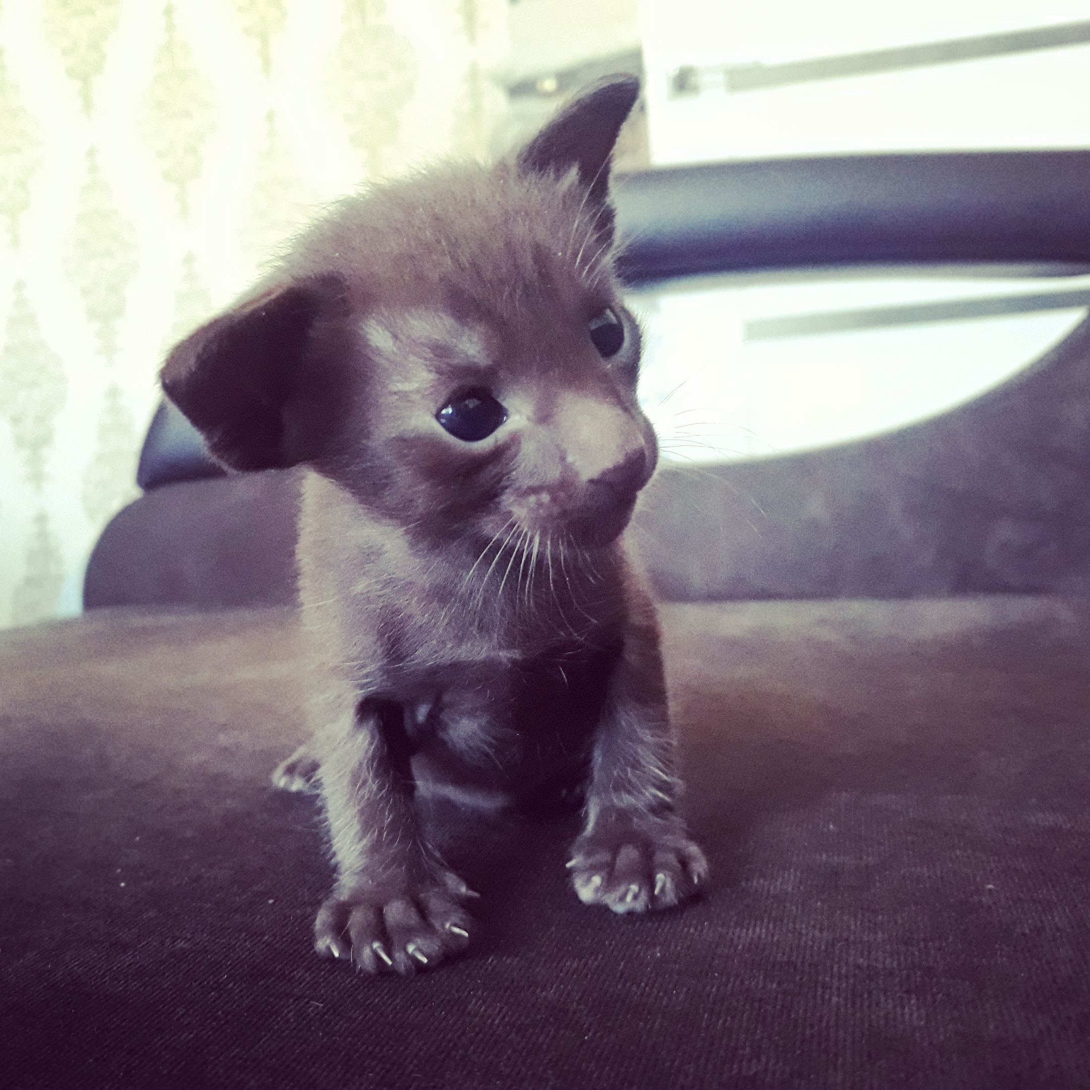 Куда все разбежались, а кто меня будет нянчить