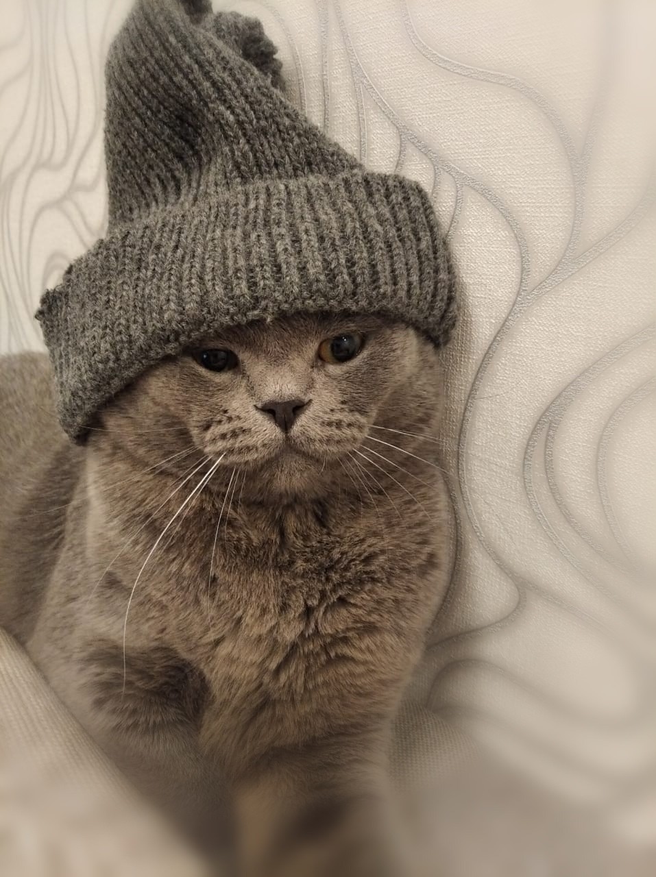 Я Вам рэп сейчас почитаю, готовьтесь хлопать