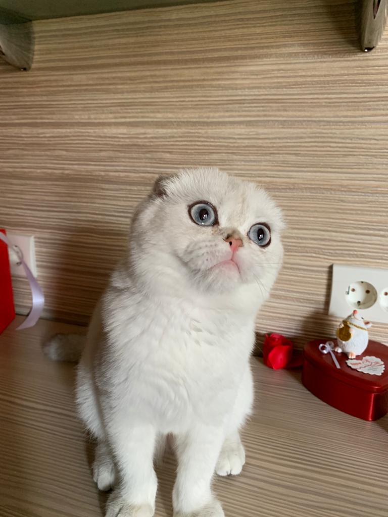 Ты надела любимые серьги, значит идёшь на свидание