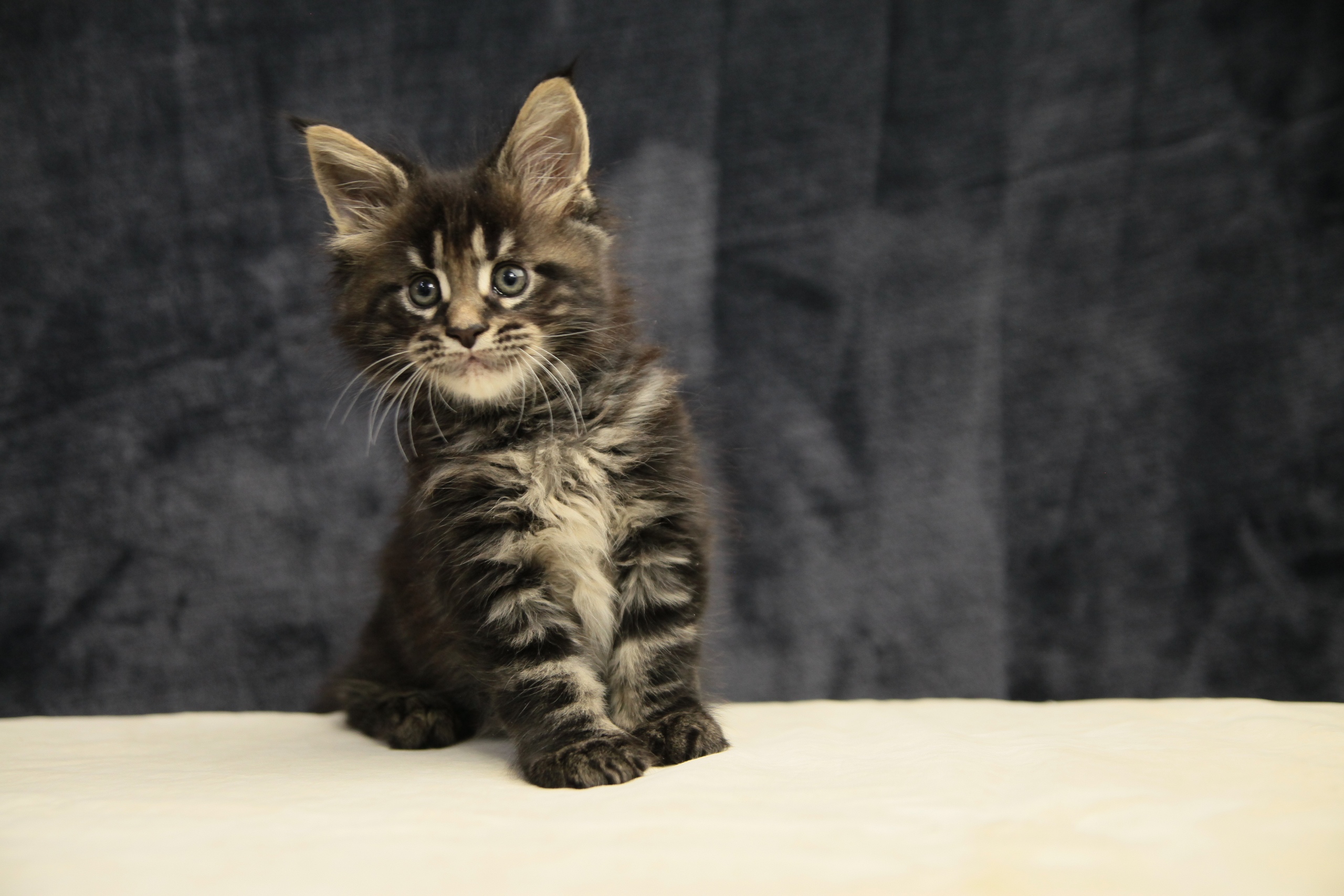 Вы уже начали играть без меня