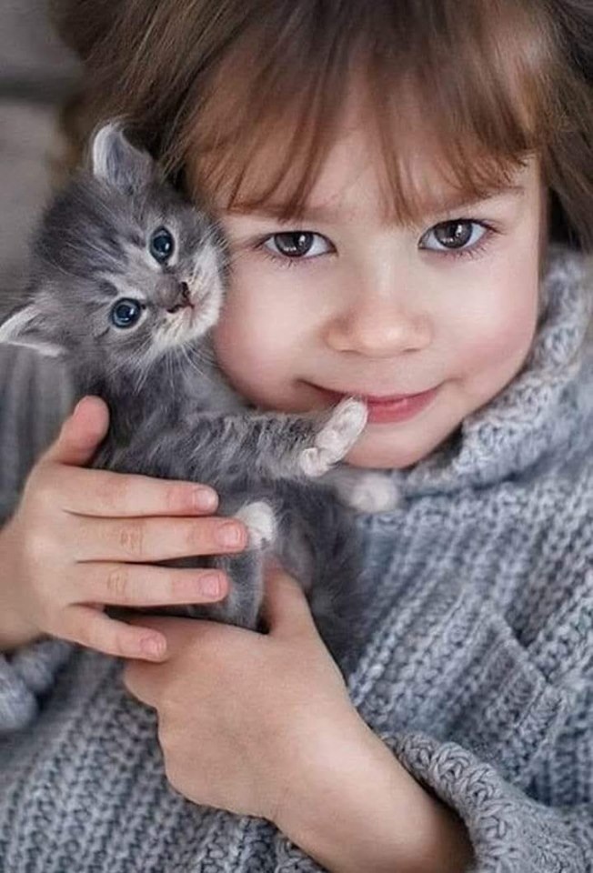 Любимый котик