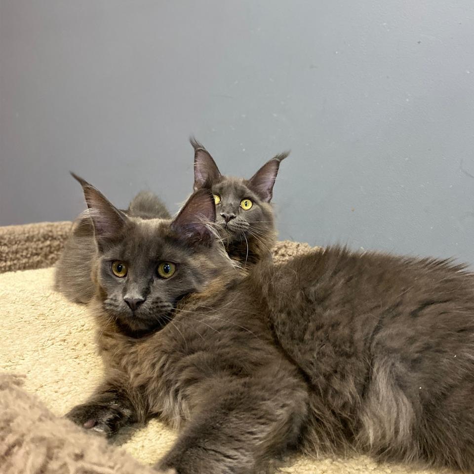 Нам третьего не надо, нам и вдвоём хорошо