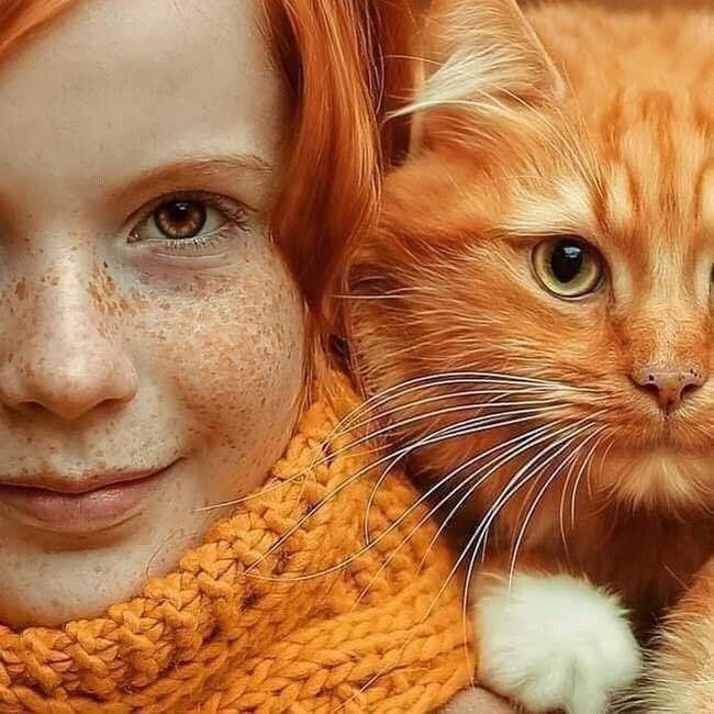 Мы с котом рыжики