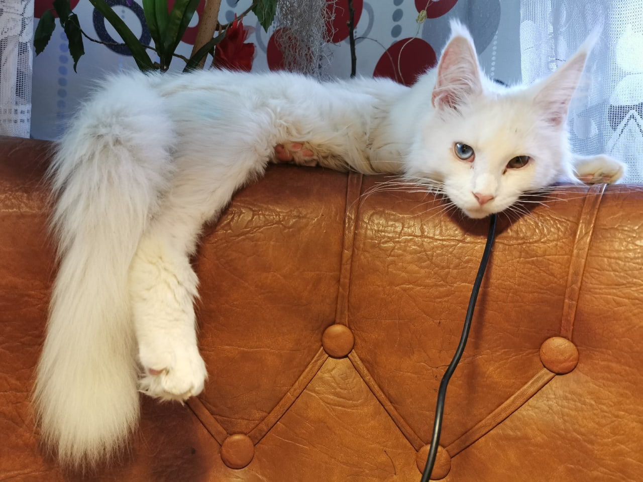 Не мешайте мне решать мировые проблемы