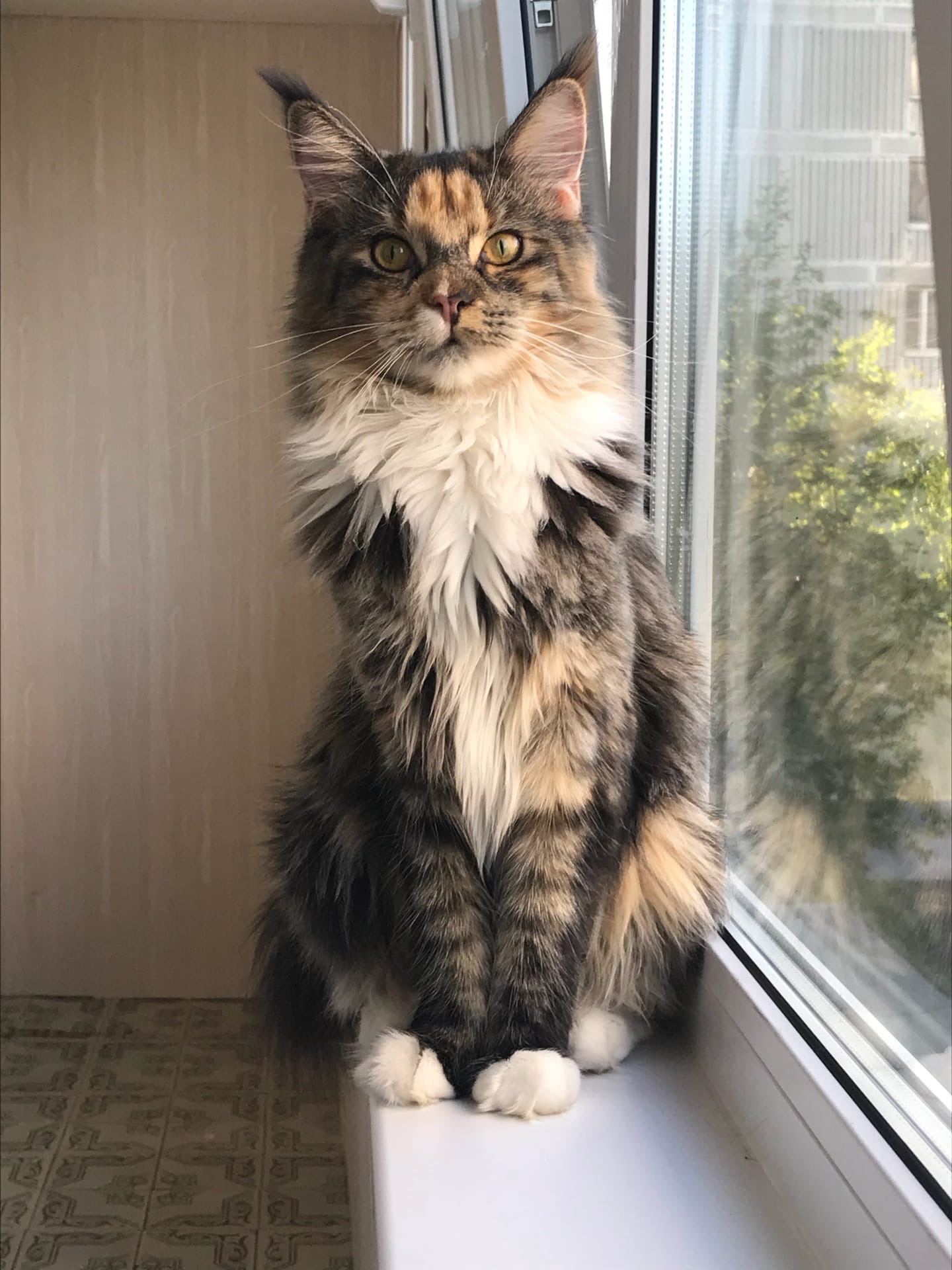 За окном одно и тоже, может на дачу поедем