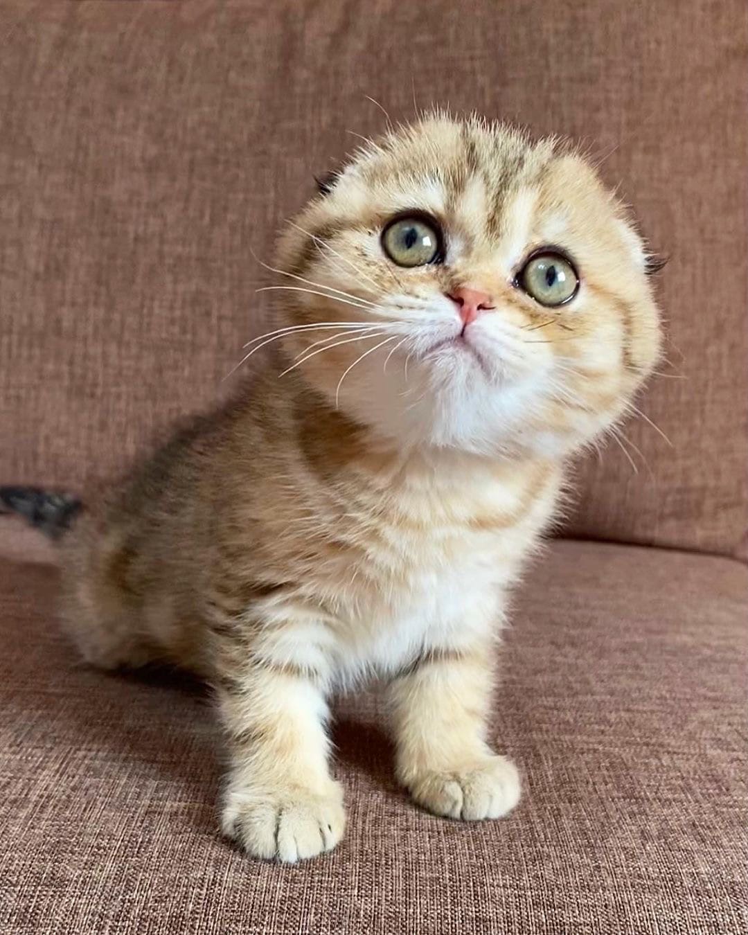 Вы опять на вечеринку, а меня оставляете одну