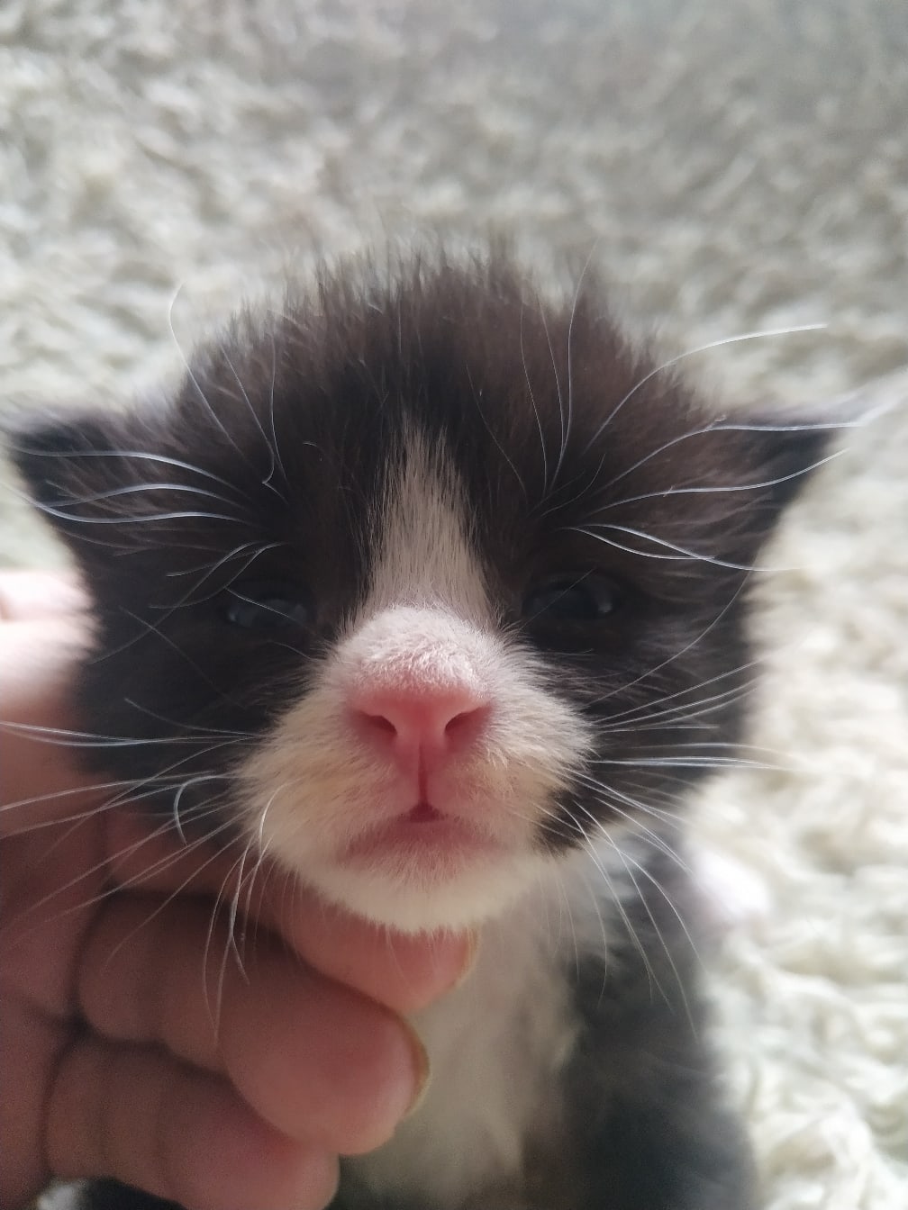 Возьмите меня к себе и получите насыщенную жизнь