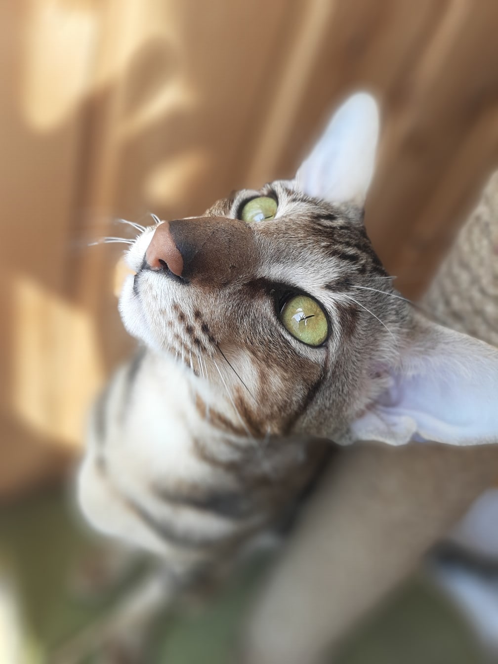 Что меня ждёт на верху