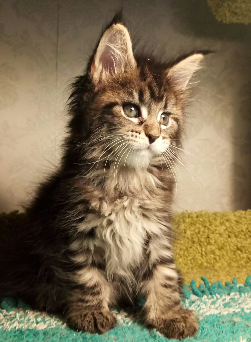 Солнышко уже проснулось, значит пора будить своих