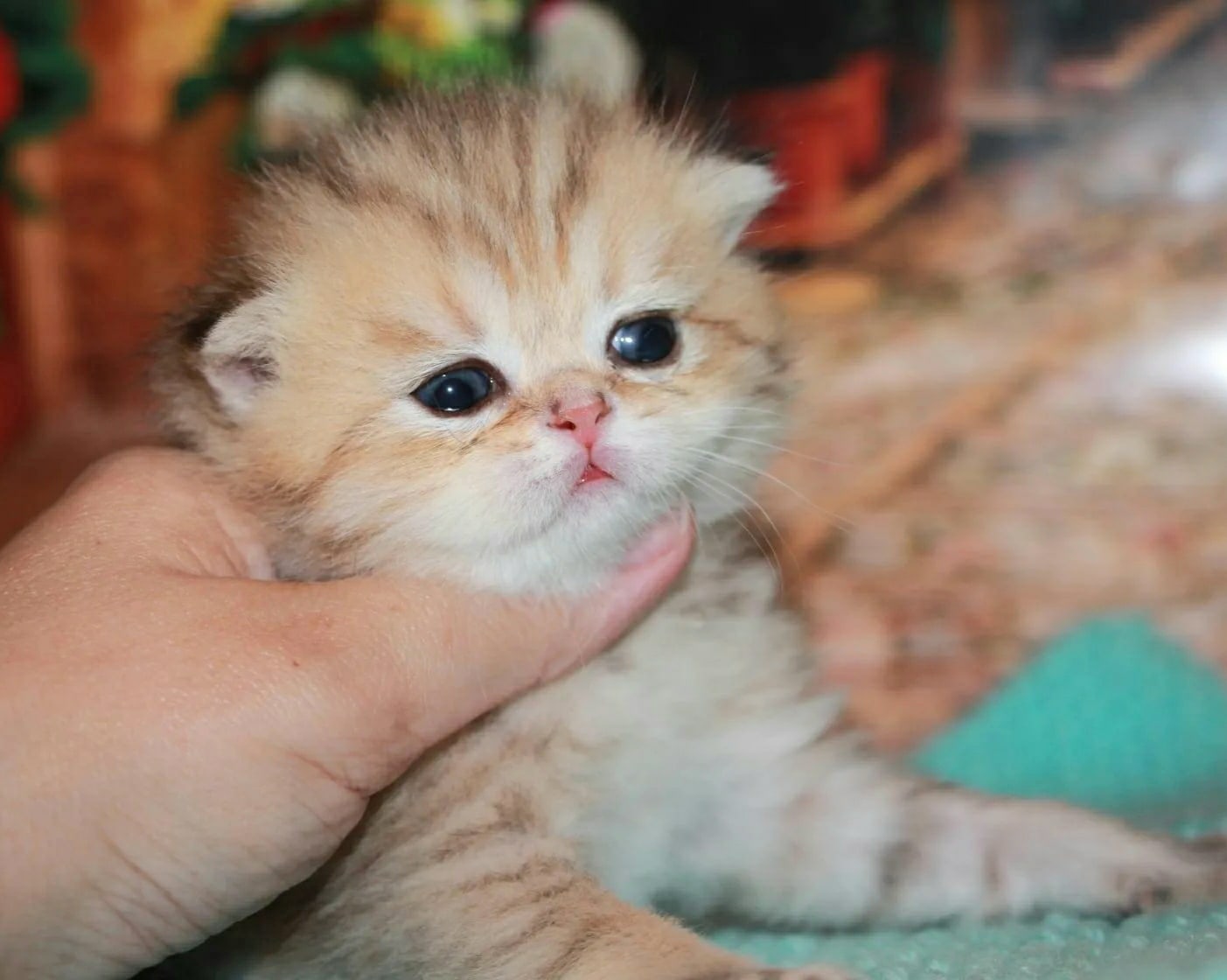 Что Вы руки распускаете, мне это не нравится