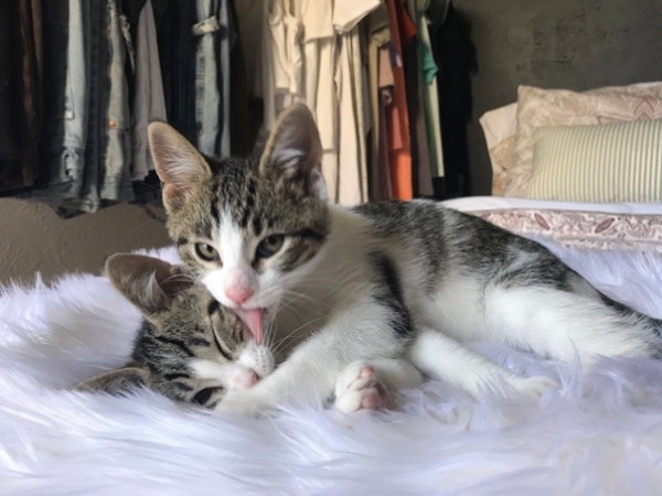 Ты мой сладкий, никому тебя не отдам