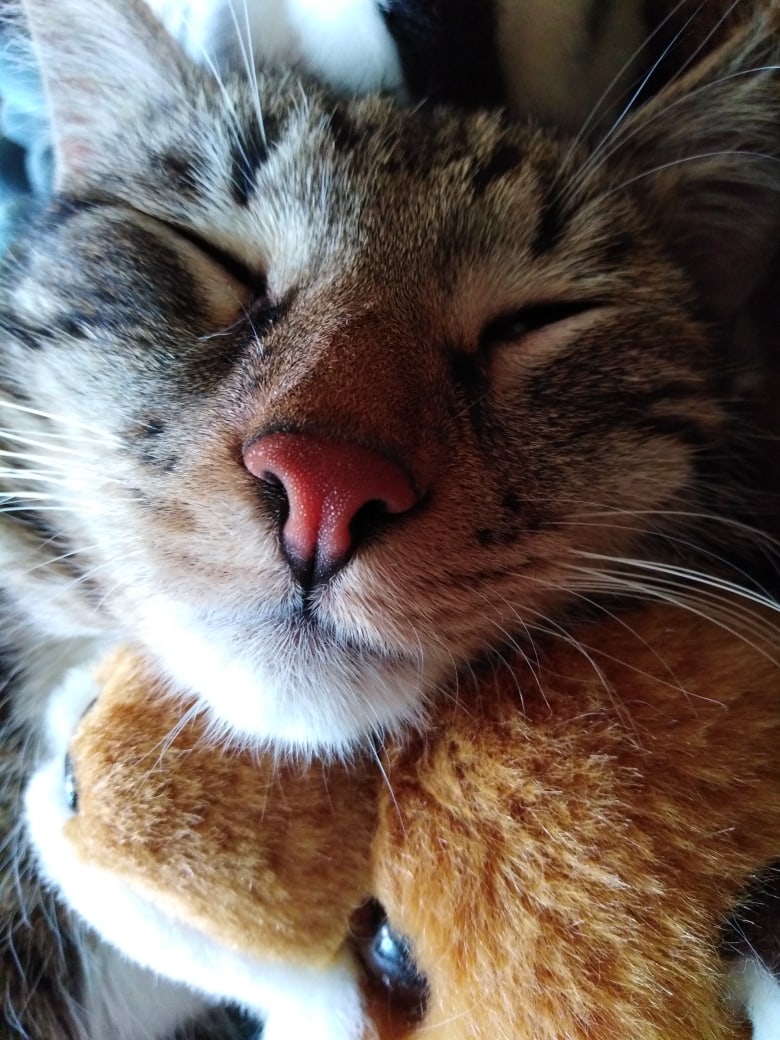 Я с игрушечкою сплю, сны приятные смотрю