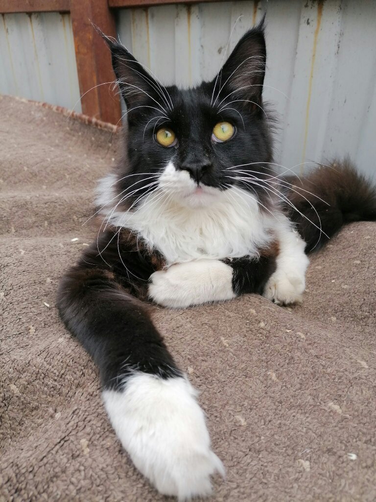 Приземляйтесь, здесь места много