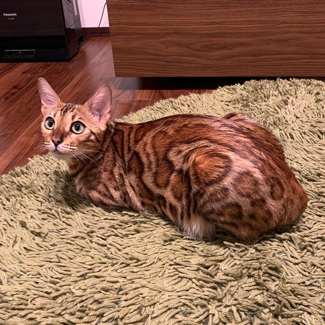 Такая скукота, может мне хотя бы телевизор включите