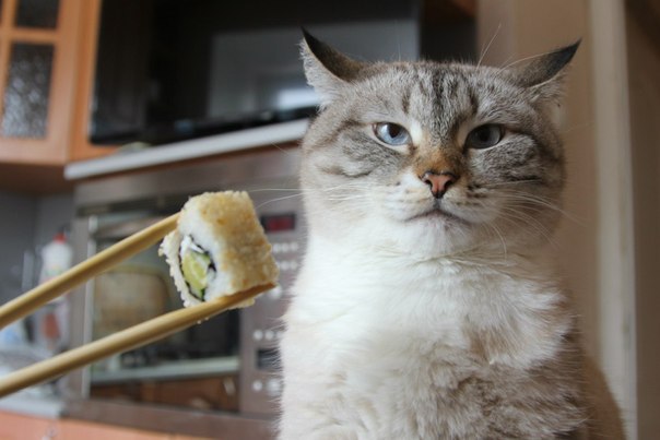 И не стыдно Вам меня дразнить