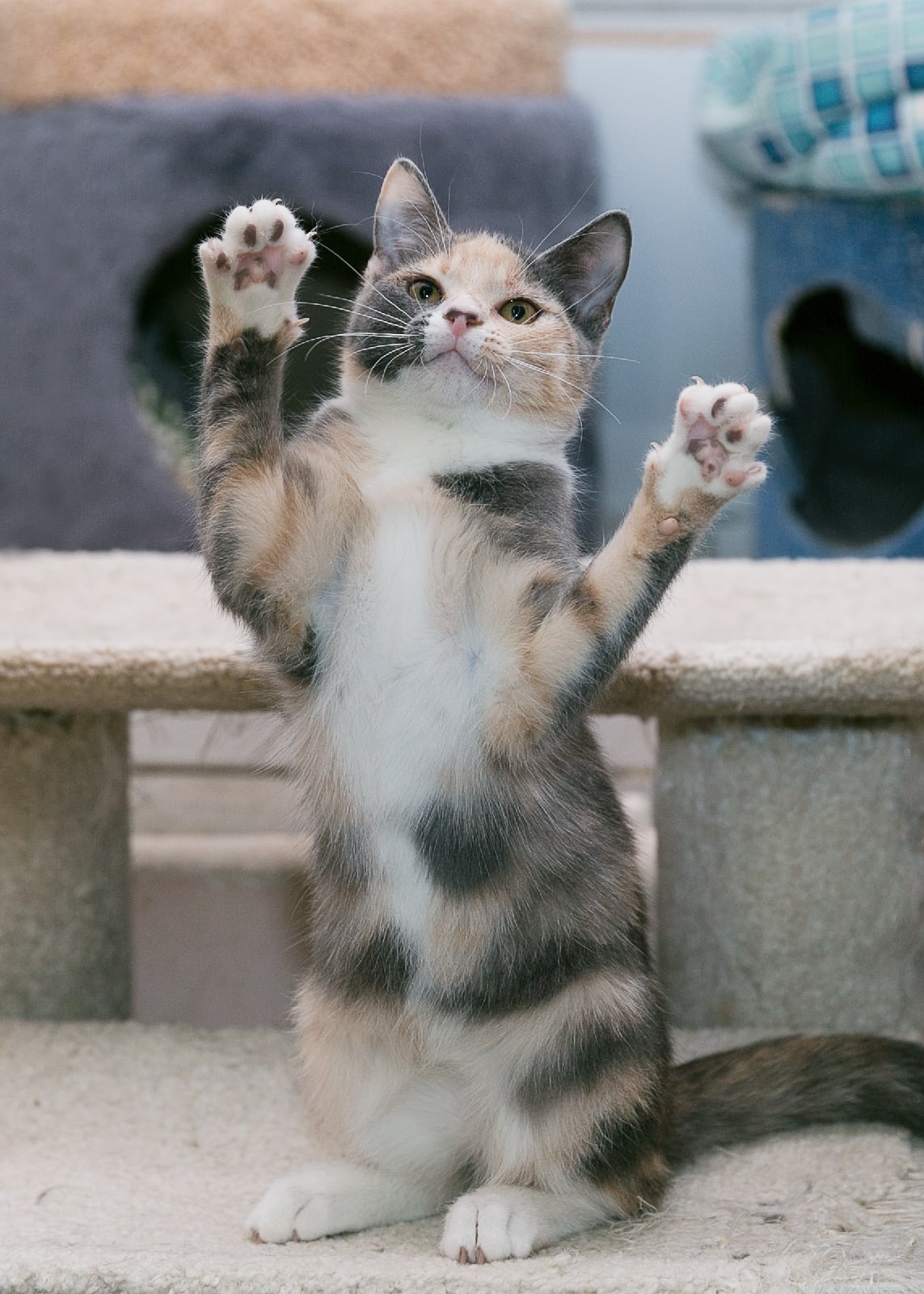 Давайте устроим дискотеку