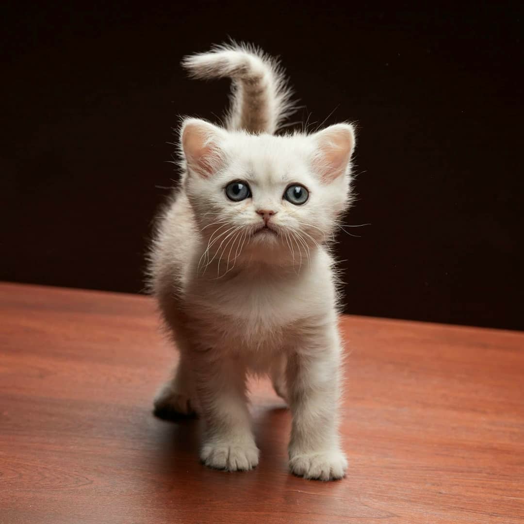 Вы ещё не придумали, чем мне заняться