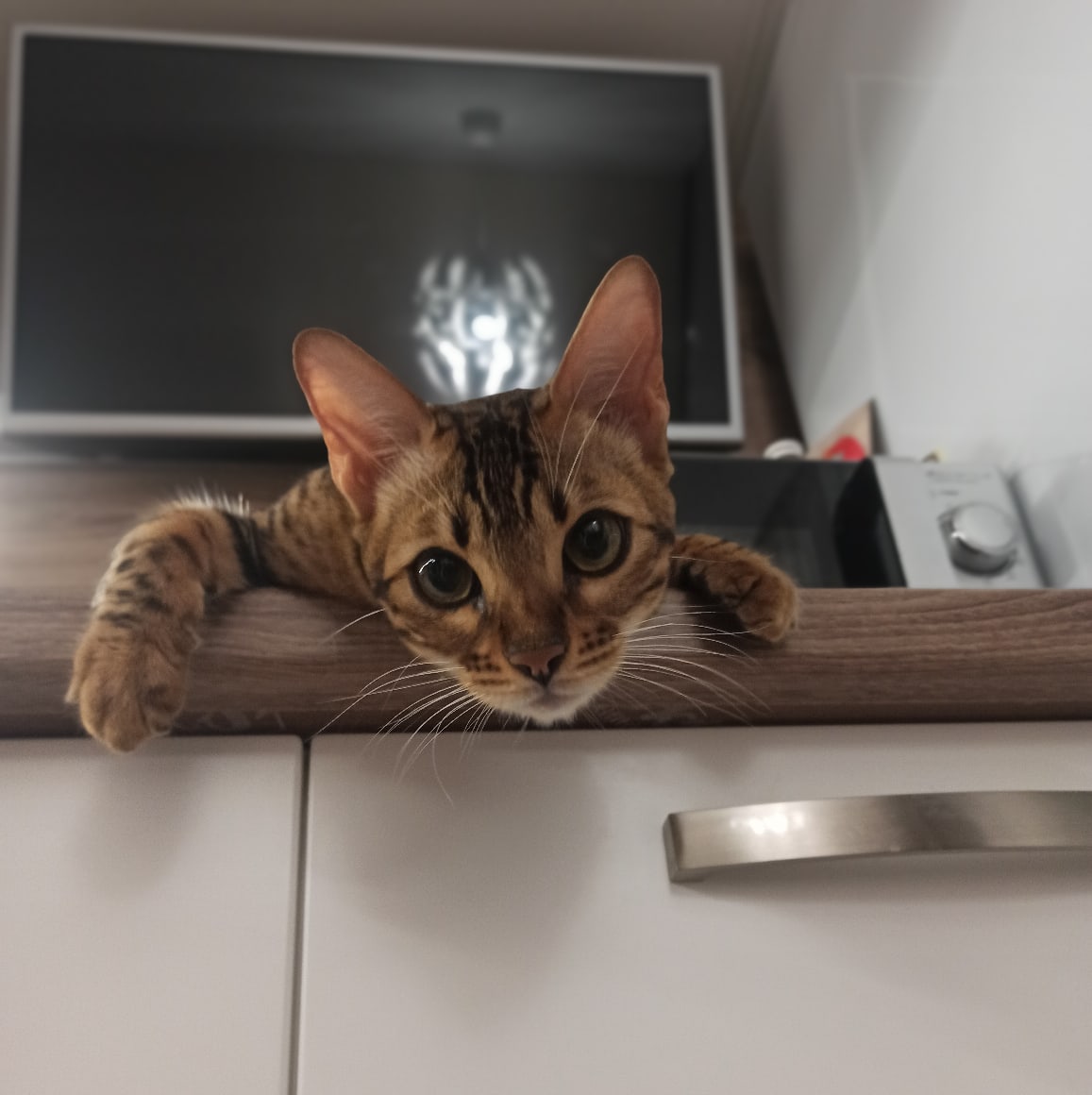 Вы меня сегодня покормите