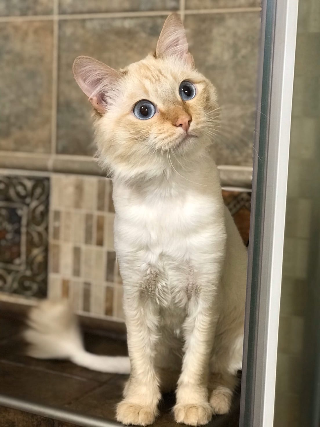 Опять без меня купаться пошли