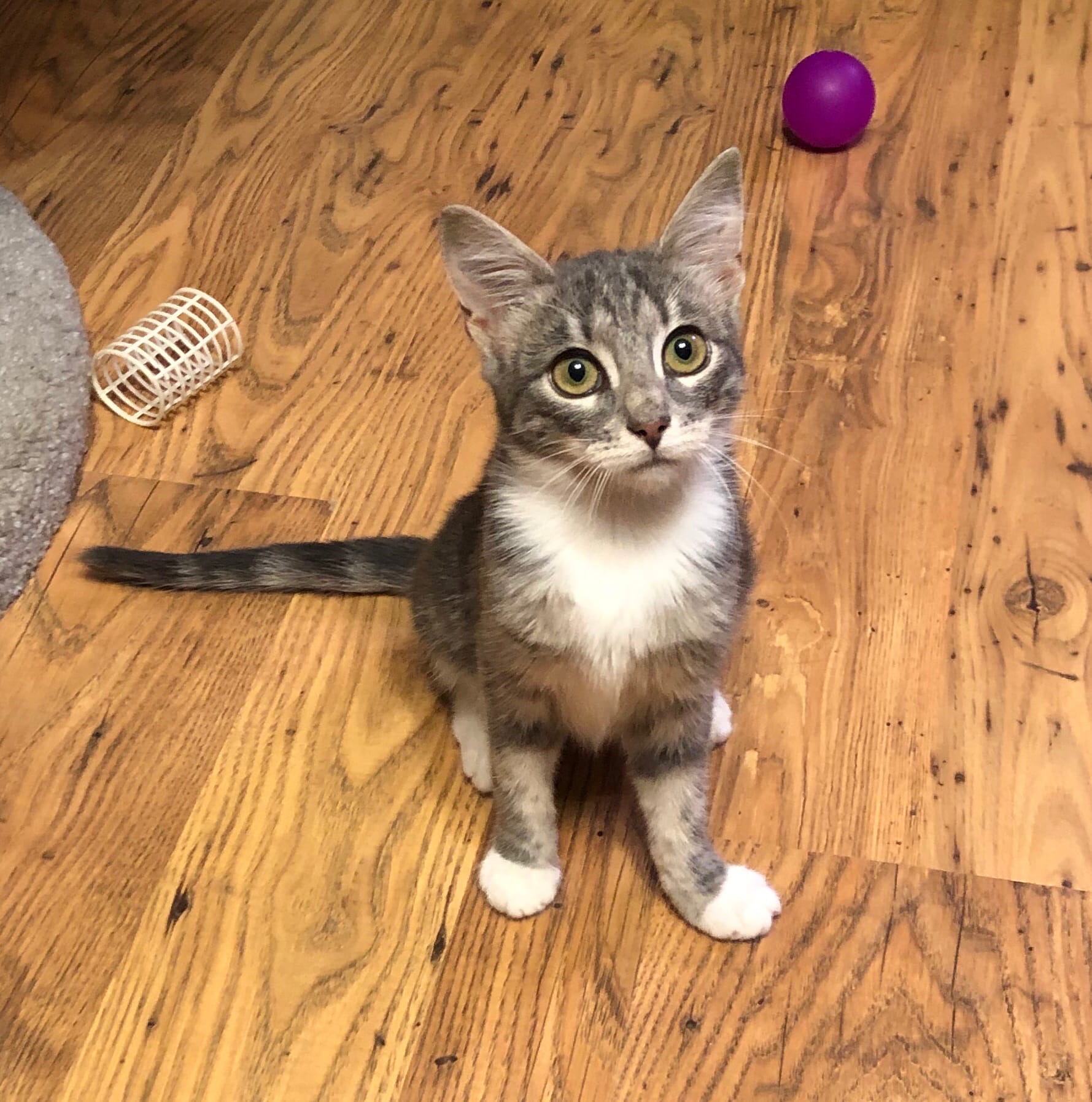 Всё, давайте другие игрушки, с этими я уже наигралась