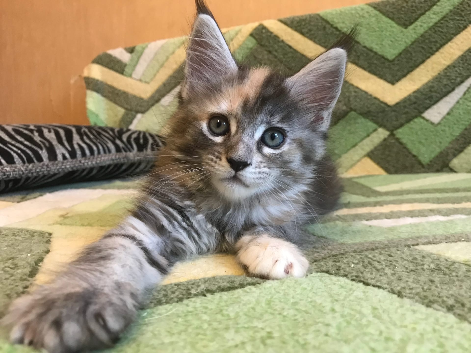 Я проснулась, что там завтрак для меня готов