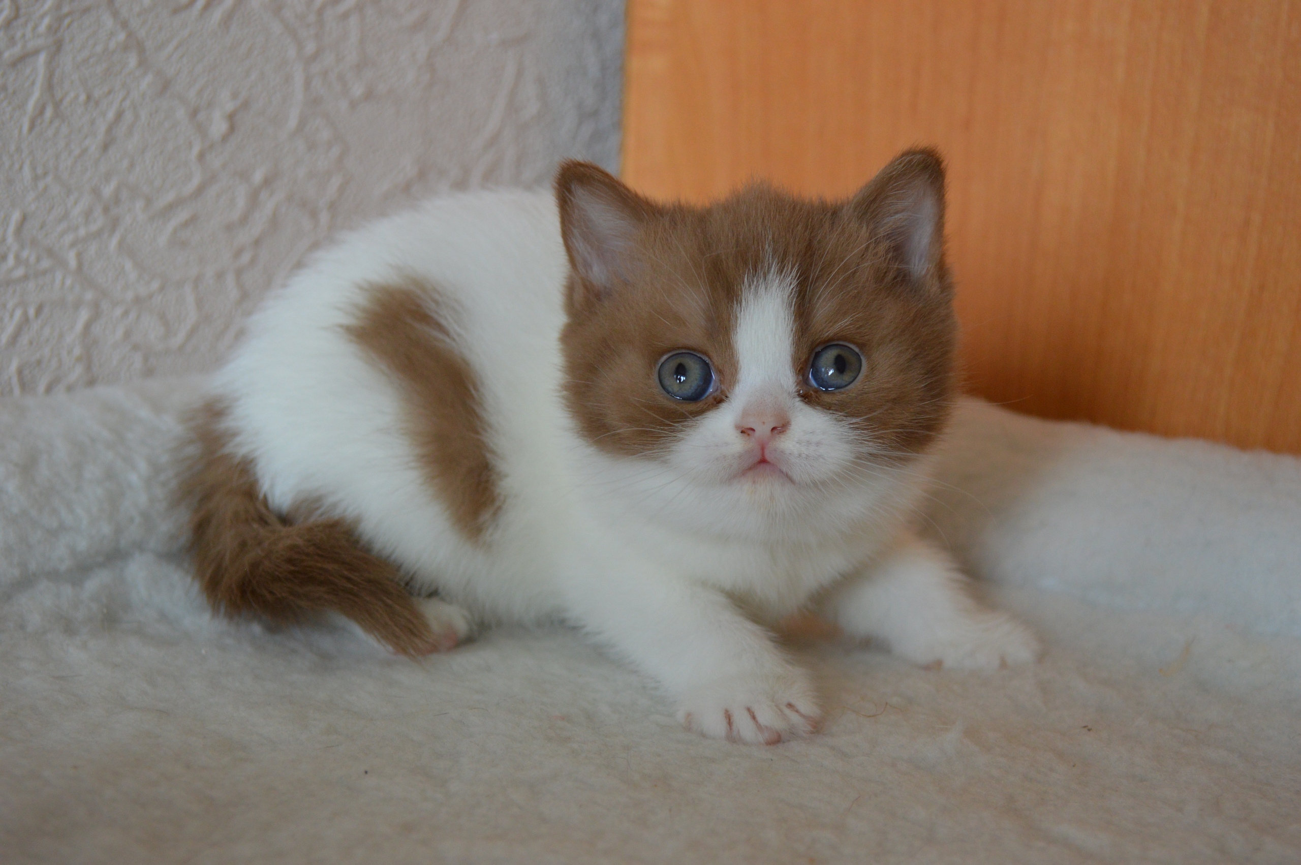 Не приближайтесь ко мне, Вы мне не нравитесь