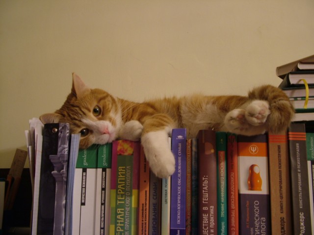 Книги меня успокаивают