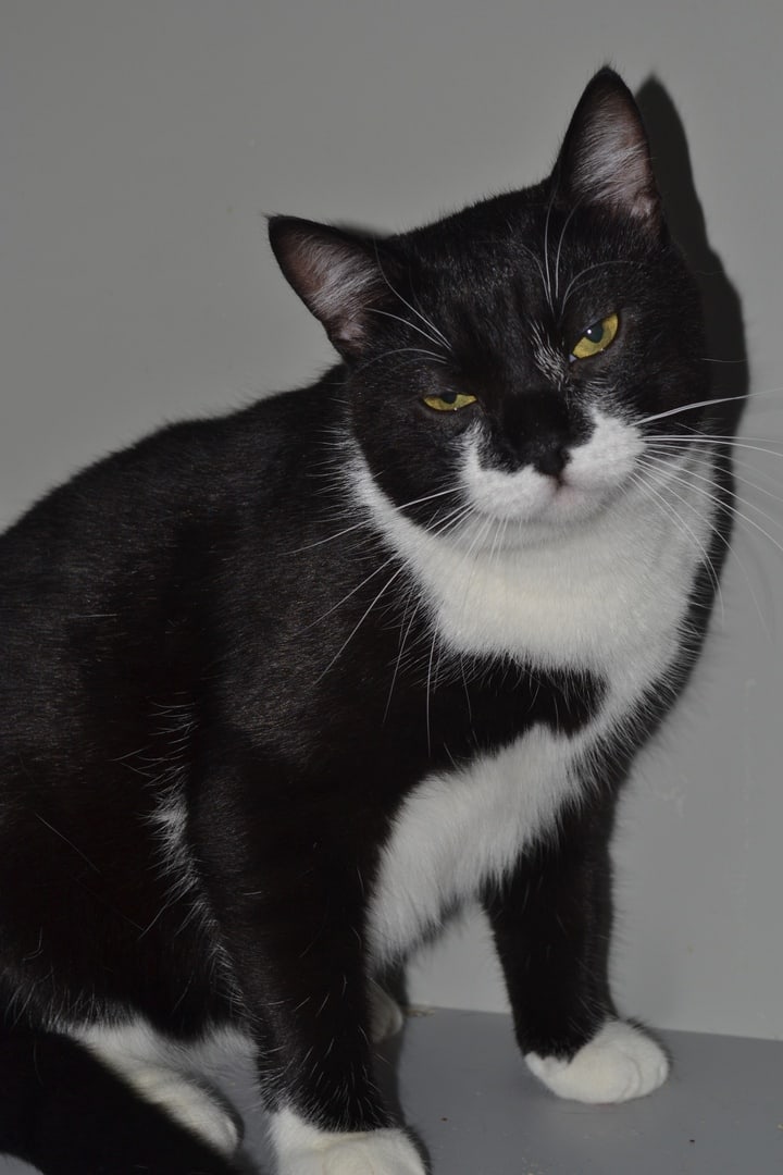 Что то мне лень шевелиться