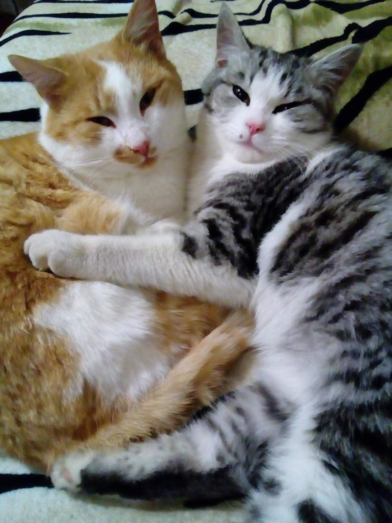 С годами любовь становится крепче