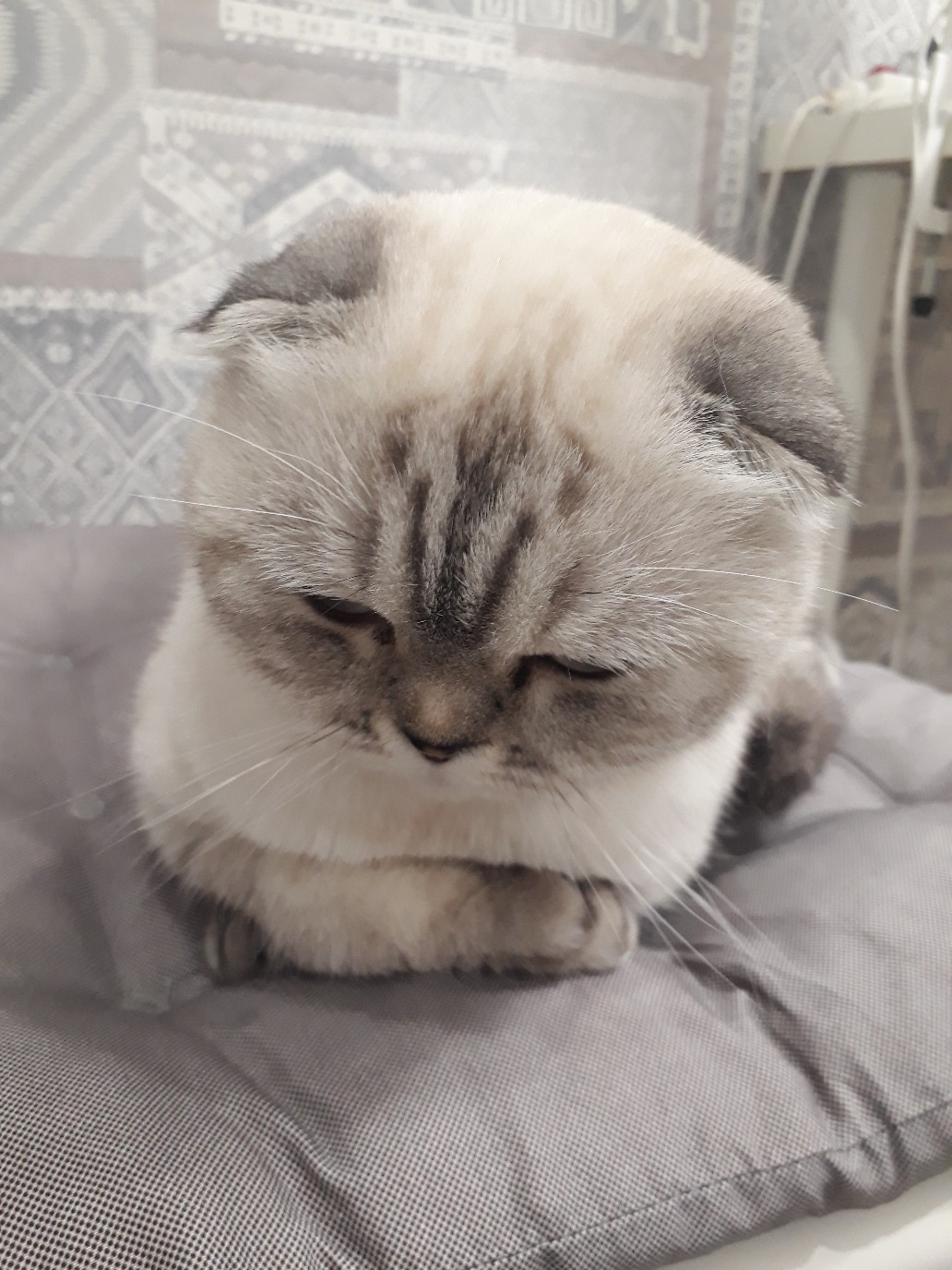 Лежу на подушке, повесила нос