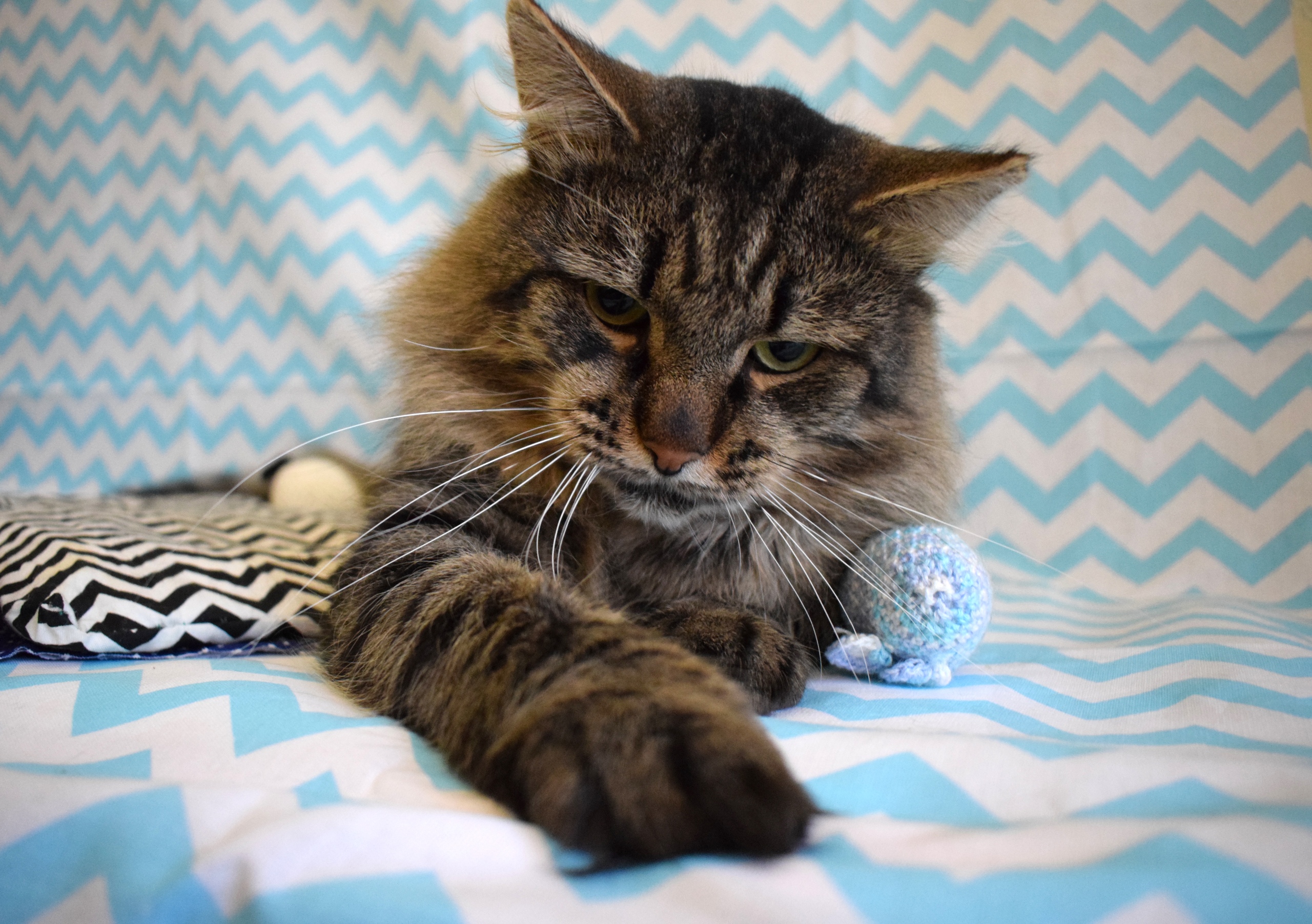 Ты мне больше не дружок, забирай свои игрушки