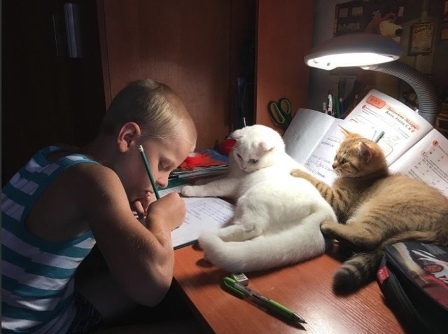 Не спеши, а то ошибок наделаешь